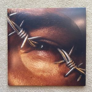 POST MALONE BEERBONGS & BENTLEYS RECORD